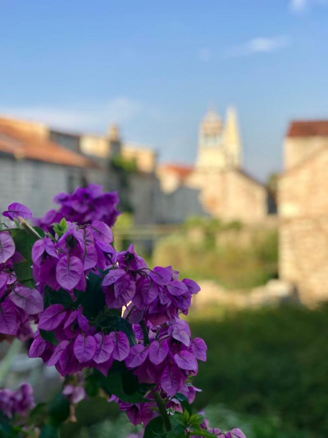 Apt Bobotovi In Center Of Stari Grad, Hvar Διαμέρισμα Stari Grad  Εξωτερικό φωτογραφία